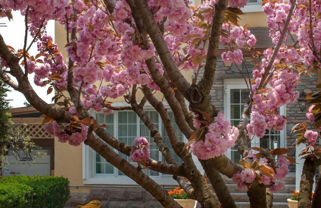Villa Inn No.21 Seaside Qingdao Esterno foto